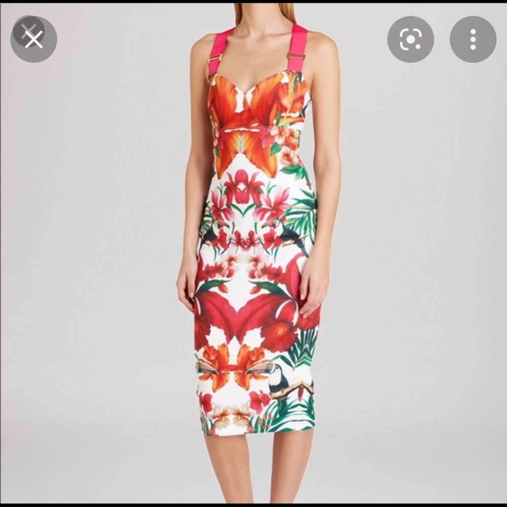 Ted Baker Jameela Dress